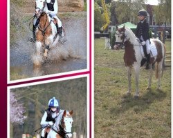 dressage horse Schneewittchen 245 (Pony without race description, 2004, from Unbekannt Pony)