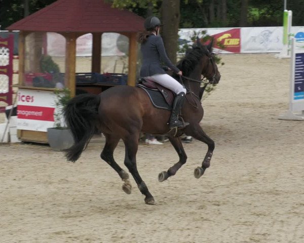 Reitturnier Karlsfeld 2023