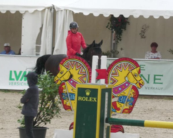 Reitturnier Karlsfeld 2023