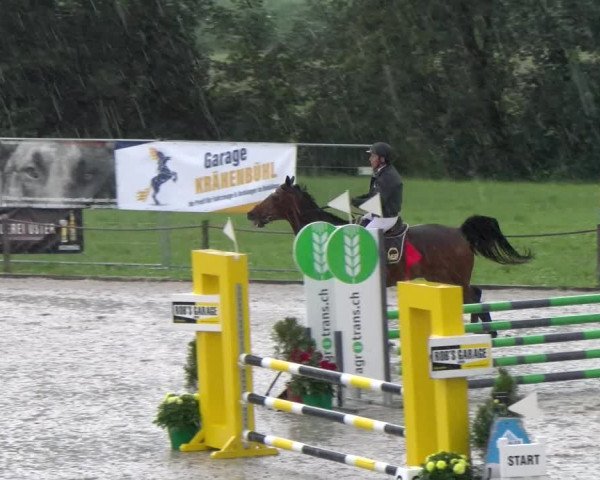 Reitturnier Gossau 2023
