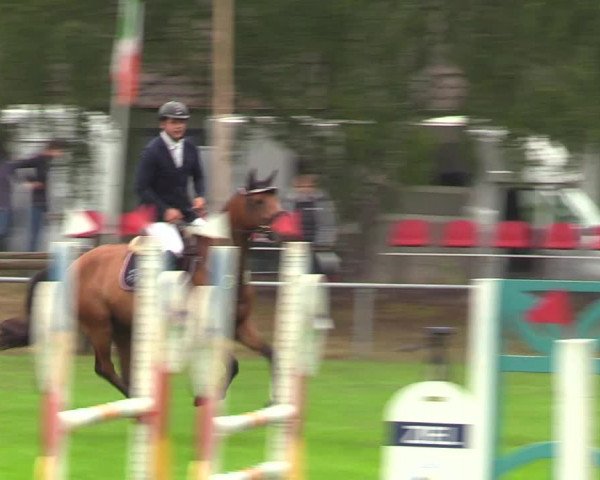 Reitturnier Dannenberg 2023