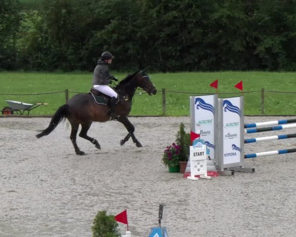Reitturnier Gossau 2023