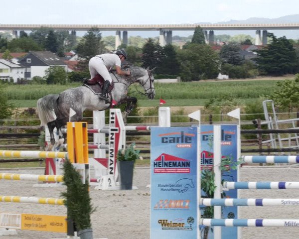 Reitturnier Worms-Pfeddersheim / Reitsportanlage Wittemer 2023