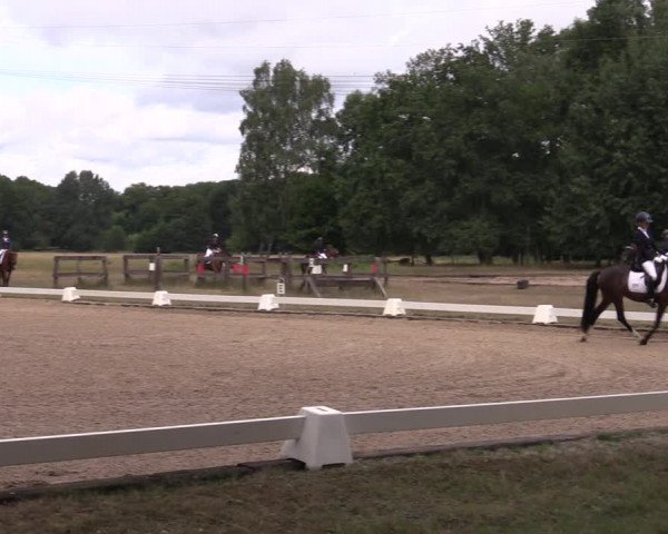 Reitturnier Gallinchen 2023