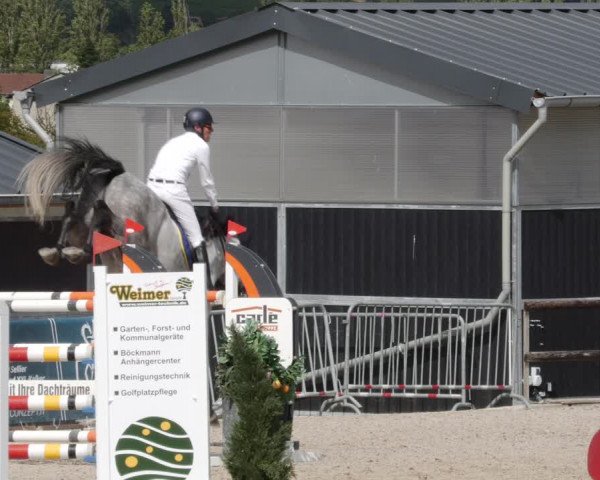 Reitturnier Worms-Pfeddersheim / Reitsportanlage Wittemer 2023