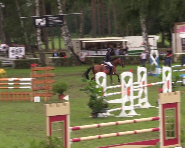 Reitturnier Etingen 2023