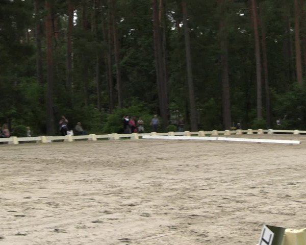 Reitturnier Dannenberg 2023