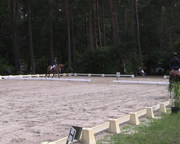 Reitturnier Dannenberg 2023