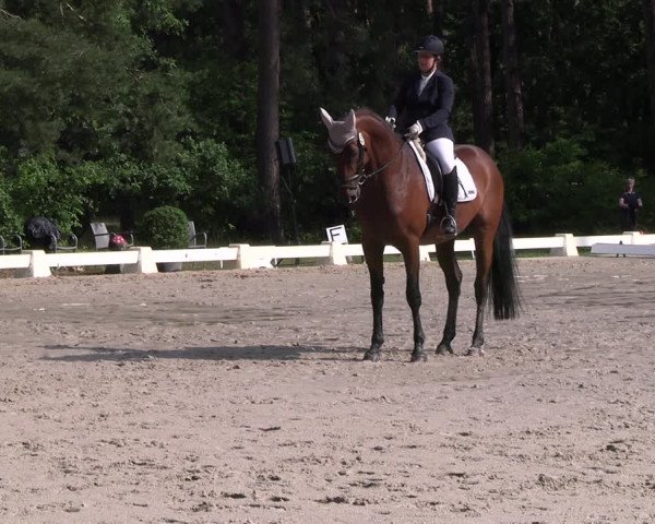 Reitturnier Dannenberg 2023