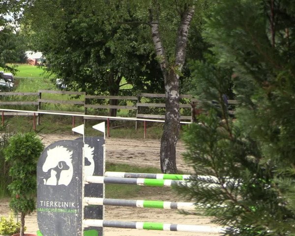 Jezdecký turnaj Dierdorf 2023