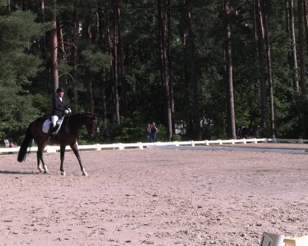 Reitturnier Dannenberg 2023
