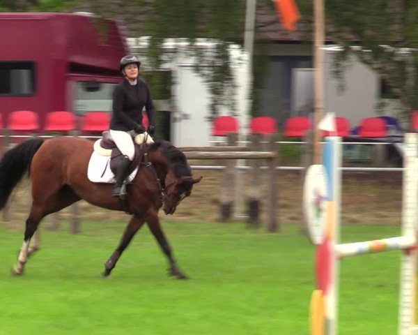 Reitturnier Dannenberg 2023