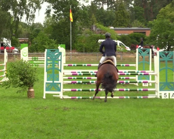 Reitturnier Dannenberg 2023
