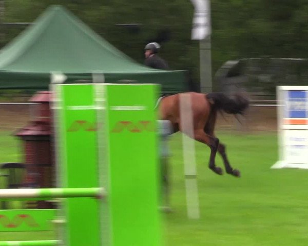 Reitturnier Dannenberg 2023