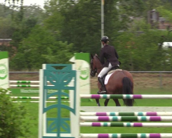 Reitturnier Dannenberg 2023