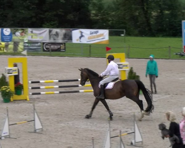 Reitturnier Gossau 2023
