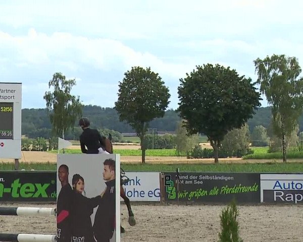 Reitturnier Rot am See- Musdorf 2023