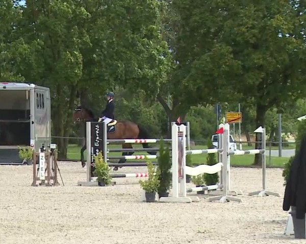 Reitturnier Rot am See- Musdorf 2023
