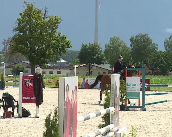 Reitturnier Rot am See- Musdorf 2023