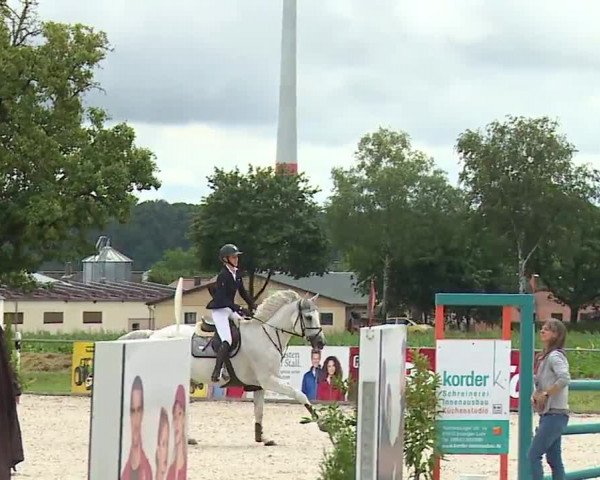Reitturnier Rot am See- Musdorf 2023