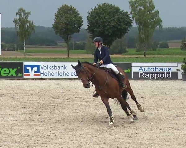 Reitturnier Rot am See- Musdorf 2023