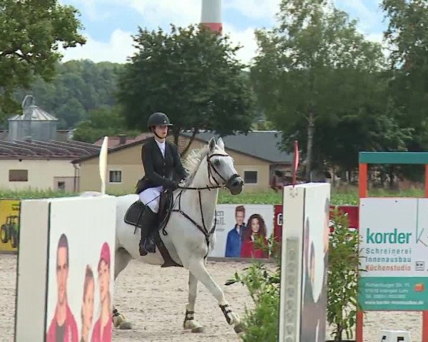 Reitturnier Rot am See- Musdorf 2023