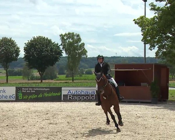 Reitturnier Rot am See- Musdorf 2023