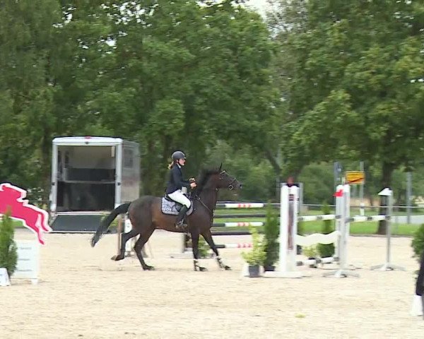 Reitturnier Rot am See- Musdorf 2023
