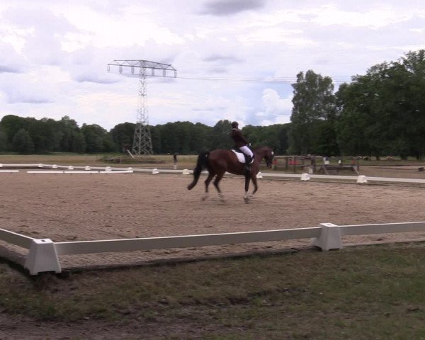 Reitturnier Gallinchen 2023