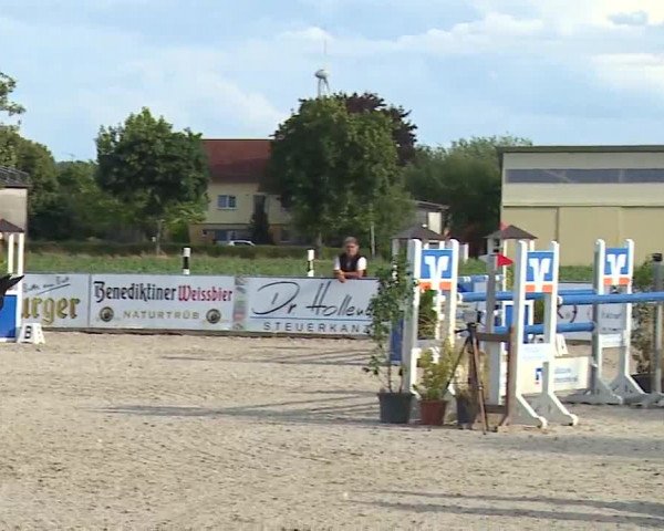 Reitturnier Rot am See- Musdorf 2023
