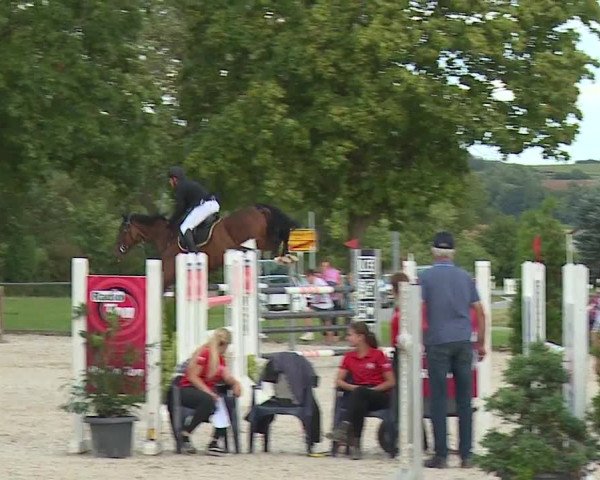 Reitturnier Rot am See- Musdorf 2023