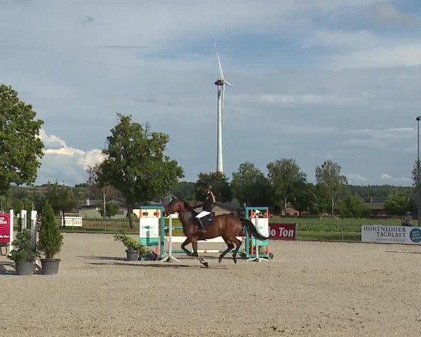 Reitturnier Rot am See- Musdorf 2023