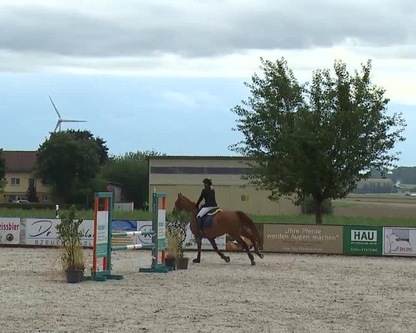 Reitturnier Rot am See- Musdorf 2023