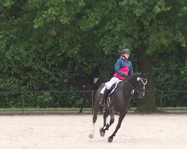 Reitturnier Rot am See- Musdorf 2023