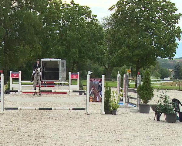 Reitturnier Rot am See- Musdorf 2023