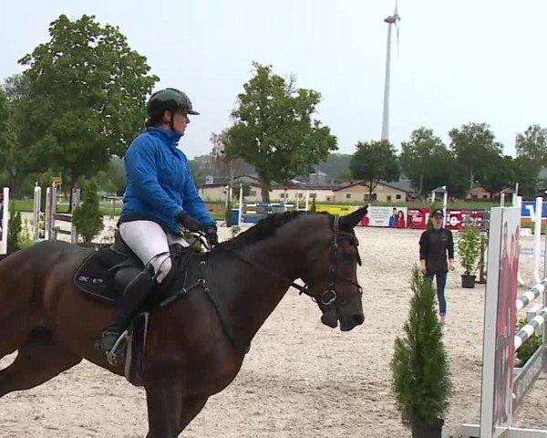 Reitturnier Rot am See- Musdorf 2023