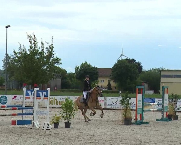 Reitturnier Rot am See- Musdorf 2023
