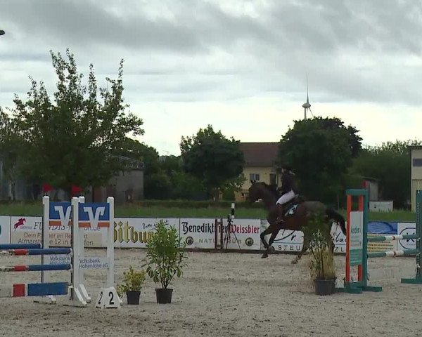 Reitturnier Rot am See- Musdorf 2023