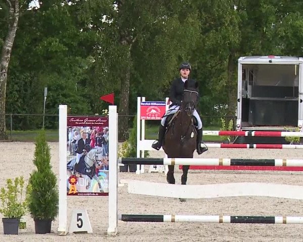 Reitturnier Rot am See- Musdorf 2023