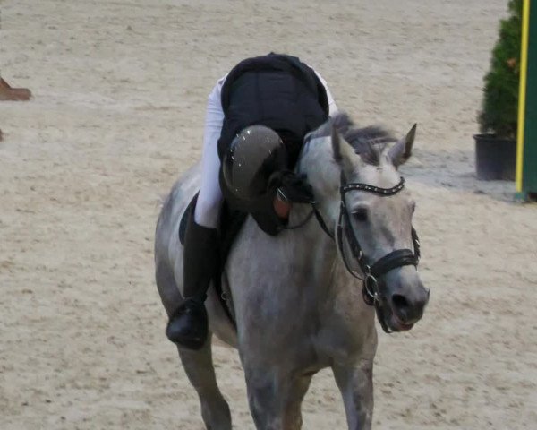 Reitturnier Karlsfeld 2023