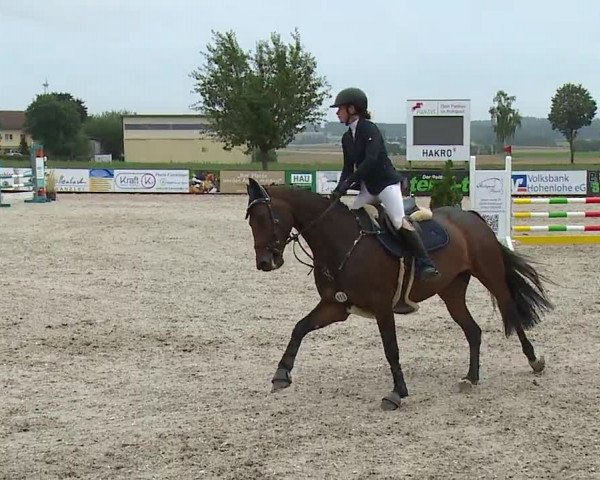 Reitturnier Rot am See- Musdorf 2023