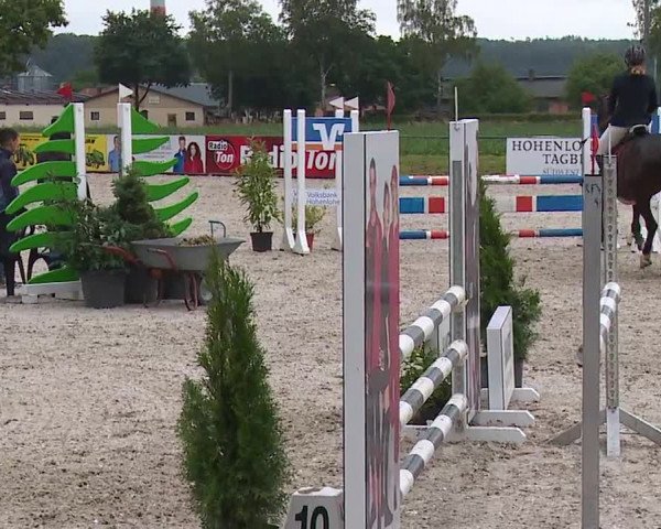 Reitturnier Rot am See- Musdorf 2023