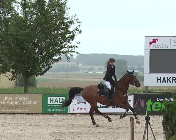 Reitturnier Rot am See- Musdorf 2023