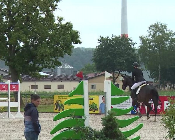 Reitturnier Rot am See- Musdorf 2023