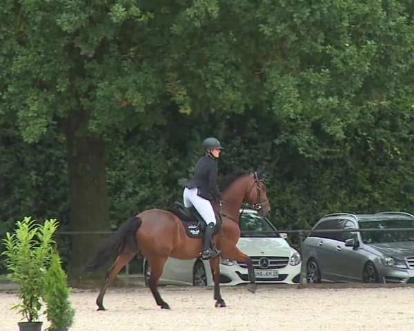 Reitturnier Rot am See- Musdorf 2023