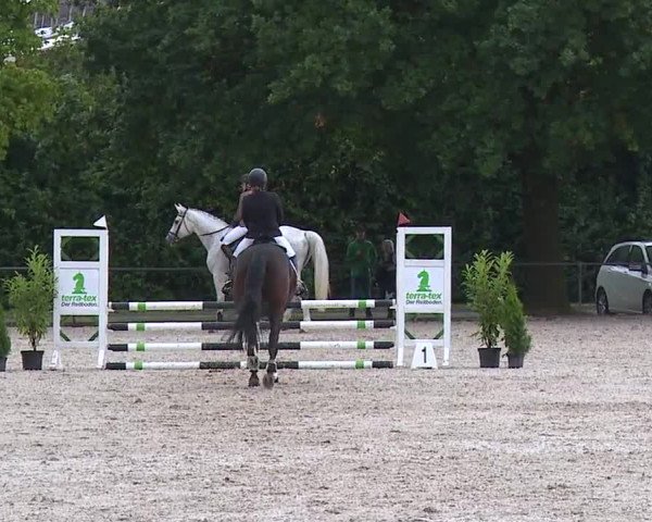 Reitturnier Rot am See- Musdorf 2023