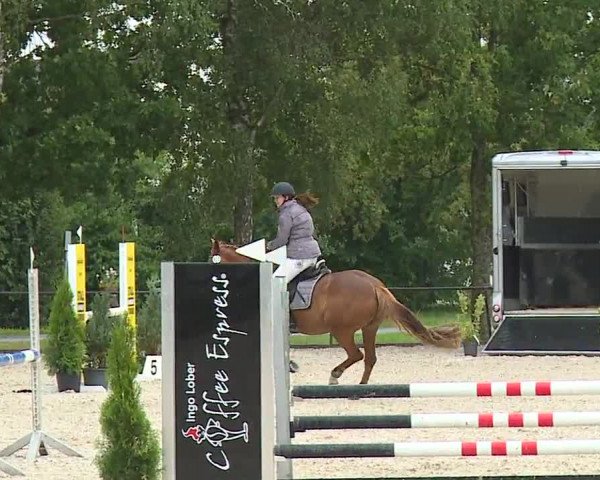 Reitturnier Rot am See- Musdorf 2023