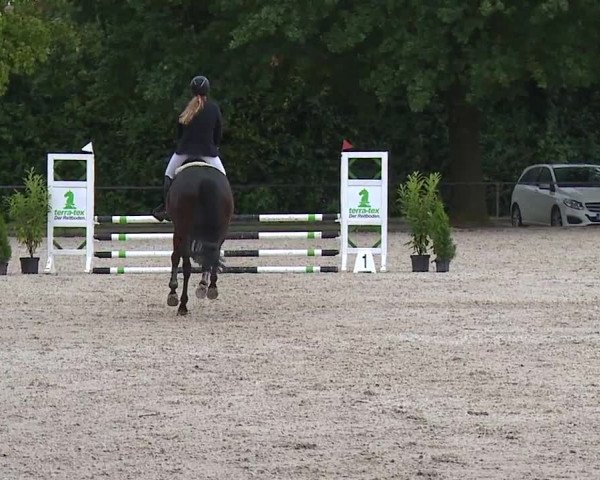 Reitturnier Rot am See- Musdorf 2023