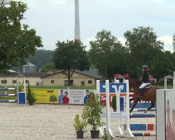 Reitturnier Rot am See- Musdorf 2023