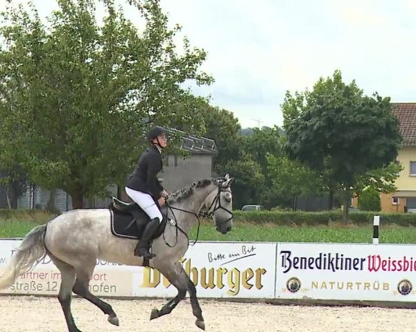 Reitturnier Rot am See- Musdorf 2023